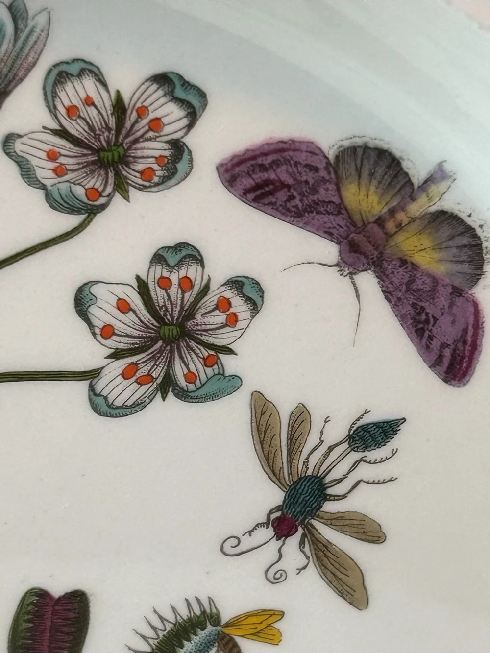 PORTMEIRION BOTANIC GARDEN 10.5” Dinner Plate Venus’s Fly Trap Butterflies 1972